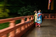 Kyoto-812592 Kyoto-812592