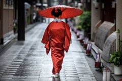 Maiko in Miyagawa-Cho, Kyoto Maiko in Miyagawa-Cho, Kyoto